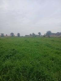 رفاعي • ٢٧ دونم • أرض