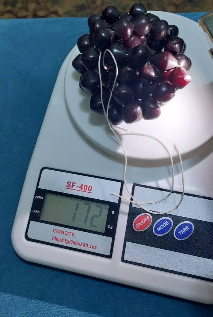 الفوتران العثمانى
٦٦ حبة
١٧٠ جرام
مطلوب
١٢ الف دولار
المهتم يتواصل خاص

@المتابعين ، @تحف وانتيكات  @ذهب الرجال 
@سبح
@ سبح الملوك


**إذا كنت صاحب هذا الإعلان وتريد حذفه لأي سبب، رجاءا أرسل رسالة إلى الدعم الفني**