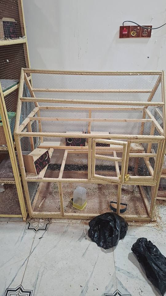 *********** ابو الخصيب, البصرة
