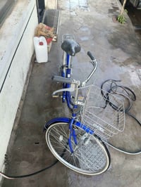 بايسكل بناتي للبيع السعر والتفاصيل خاص للتواصل على على هذا الرقم واتسا...