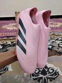 براديتور • أصلي • قياس ٤٣