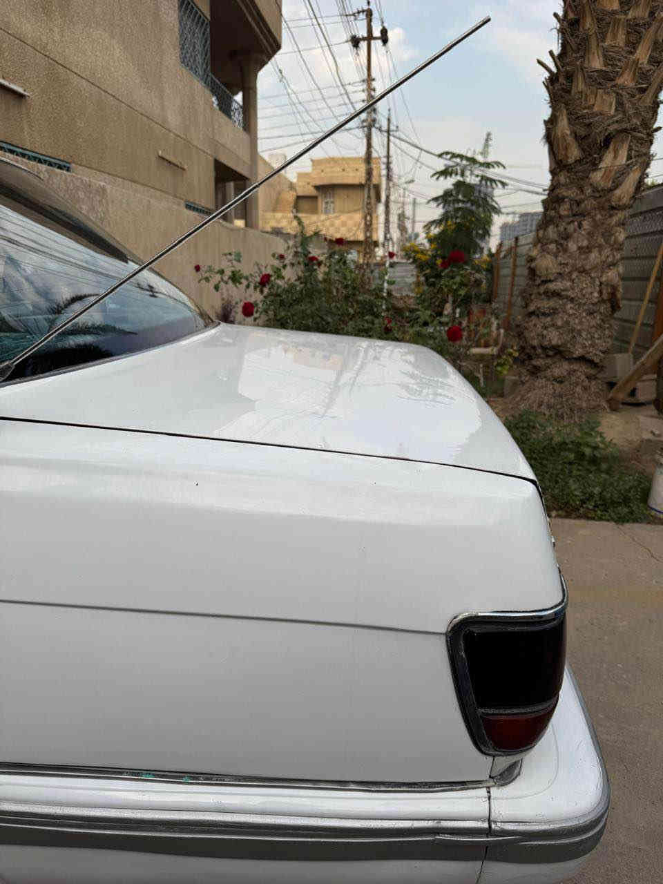 سيدان موديل 1990 مكينه وكير جدد كير عادي كهربائيات وتبريد شغال سياره بلاديه بيها مكانات صبغ بدون معجبون رقم بغداد تحويل ثاني يوم لرقم الجديد داخلها جديد سياره نضيفه وبلاديه مكاني بغداد حي لخضراء 
سعرها ٦٥ ورقه وبيها مجال 
*********** بغداد, العراق
