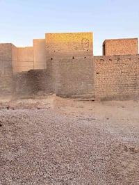 كربلاء شارع الوائلي • ٥٠م • طابو زراعي