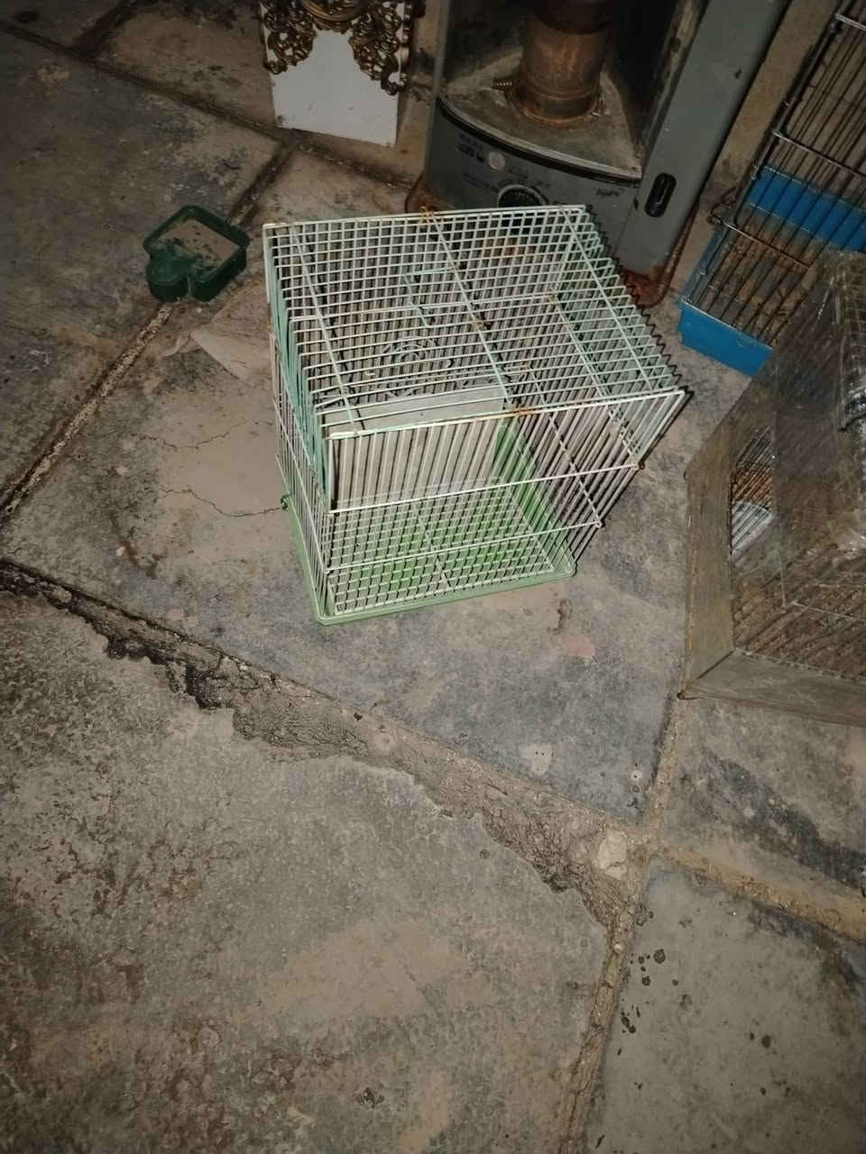 قفص جبير ب ٢٥ وبي مجال وزغير كلش ب ٣ ول وصط ب ٥


**إذا كنت صاحب هذا الإعلان وتريد حذفه لأي سبب، رجاءا أرسل رسالة إلى الدعم الفني**