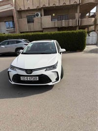 موديل ٢٤ • فل الفول • رقم بغداد