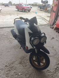 شباب سكنس جبلي للبيع 07771862316