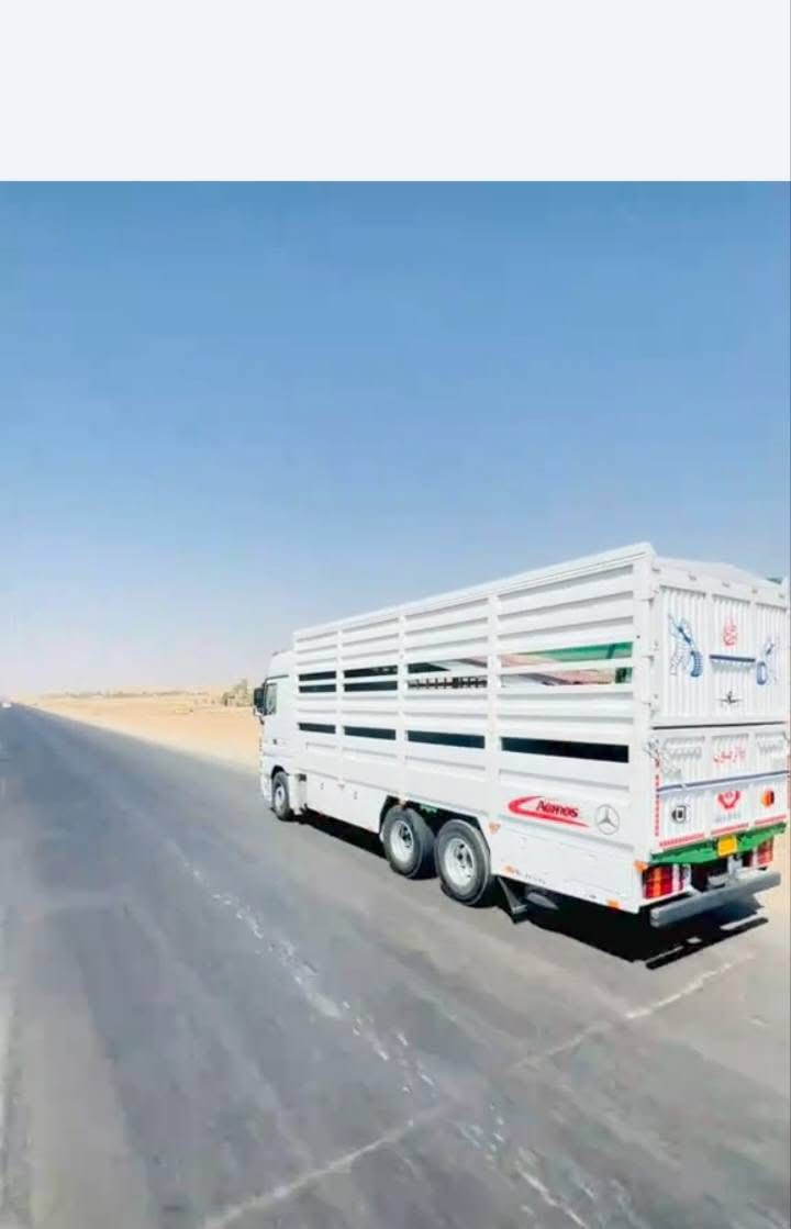 للبيع بودي مال اكتروز جديد طول 8متر بلادي 

بريص 480 كهربائيات كله جديد صبغ جديد. 

***********📞
