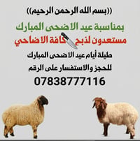 ((بسم الله الرحمن الرحيم)) ​بمناسبة عيد الاضحى المبارك مستعدون لذبح كا...