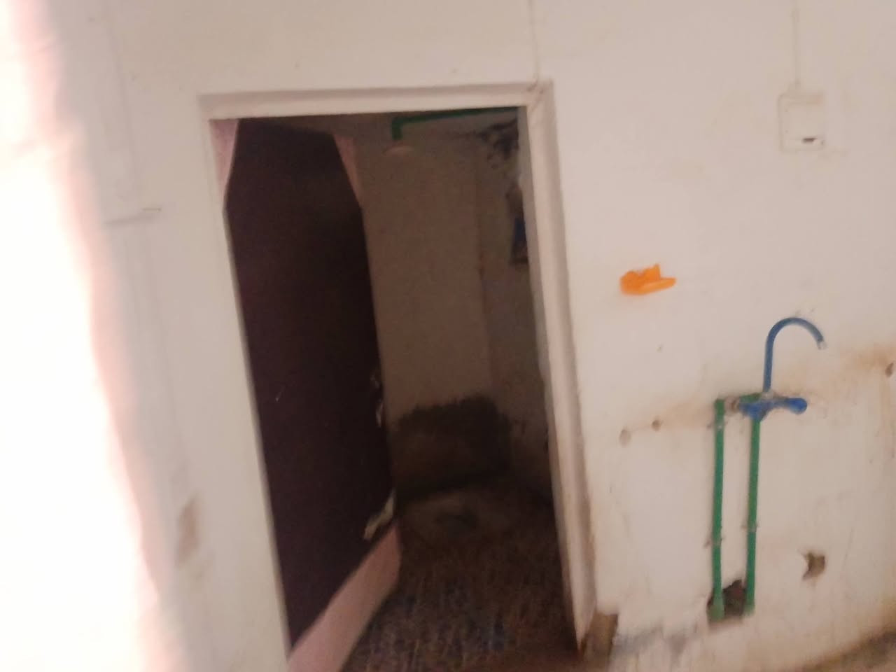 من رحضه مدير الكروب سلام عليكم
مشتمل للايجار في حي ابو سديره

مساحته 100متر

يحتوي على 

استقبال 

مطبخ

صاله

غرفه 

مجمع صحيات داخليه و خارجيه

مكتب الوارث لعقار
شيخ أنمار الدليمي 
 بإدارة
 عبدالله الجناحي 

***********
