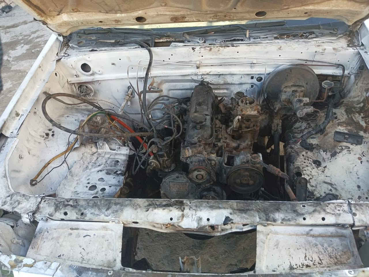 للبيع بيكم كنوه ٢٠٠٩ رقم بغداد مميز
سنويه عضم عاج 
تحويل مباشر
ردت اعمرها فصختها  وحتاجيت فلوس ف ابيع على وضعها غراضها كلها موجوده وكامله نقص بس دشبول يرادلها جديد 
ولباقي بس تتشدشد السعر ١٩ بسعر لرقم
مكاني الرمادي ***********
