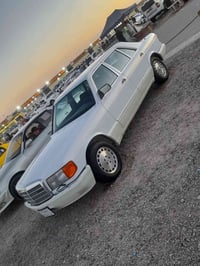 ١٩٩١ • ٣٠٠٠ • بصره الهارثه