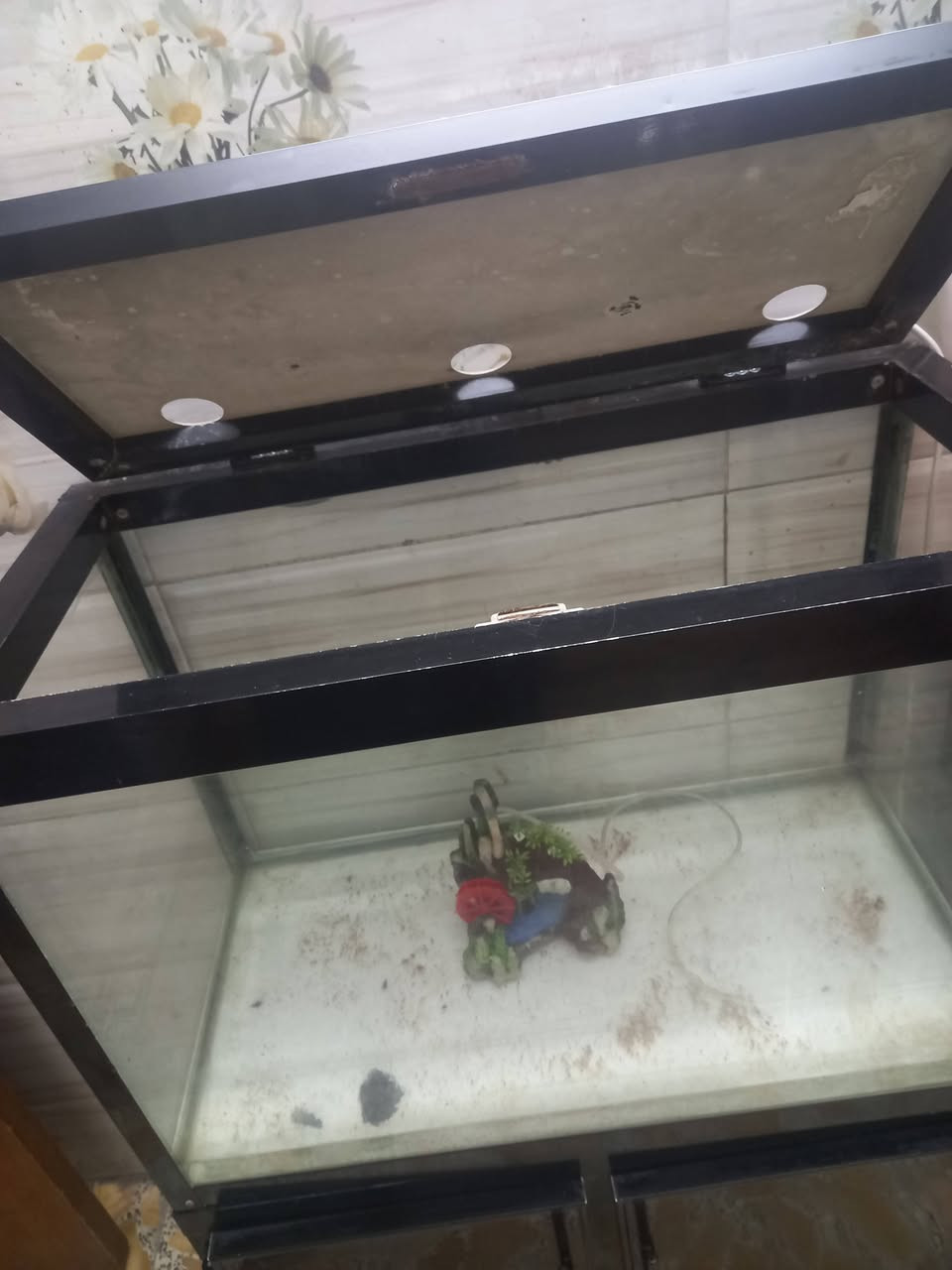 السلام عليكم حوض سمك طول متر وعرض متر و٢٠ ابو الميز بابين مع ماطورات عدد ٢  السعر ١٠٠ وبي مجال 
ميز طعام مع اربع كراسي ١٠٠ وبي مجال مكاني مدينة الصدر
***********
