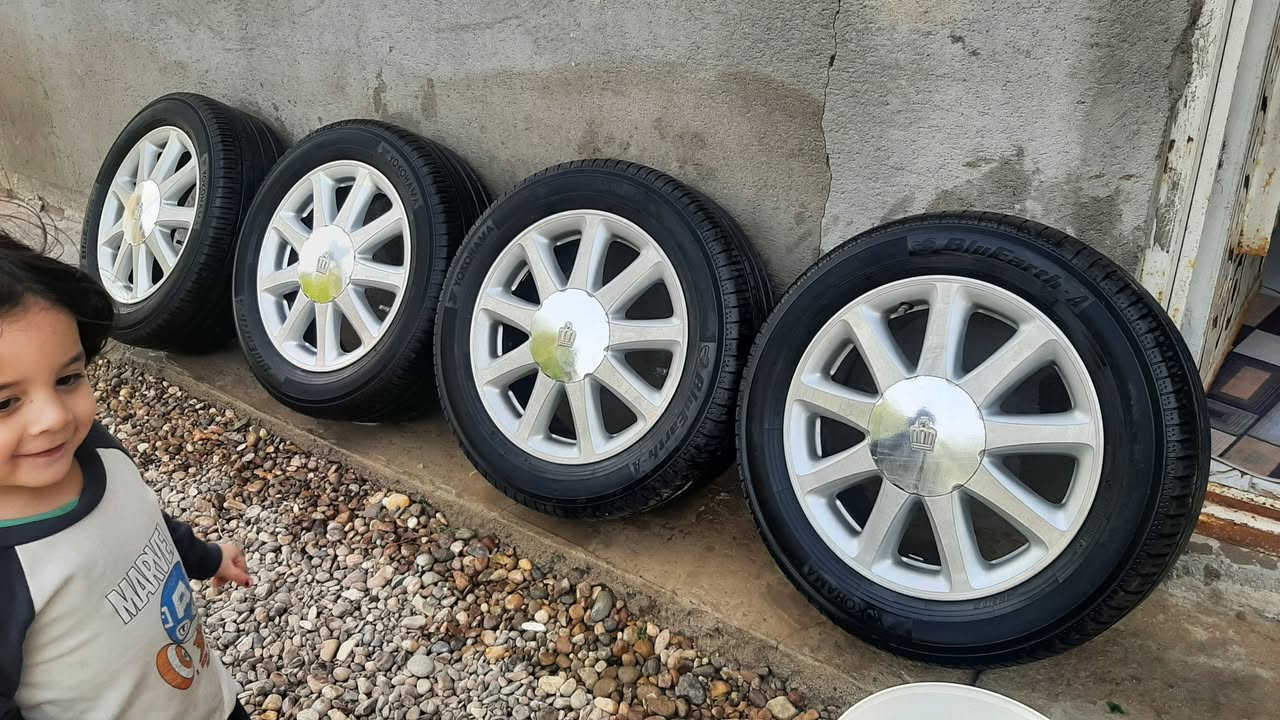 سلام عليكم تخم ويل للبيع عنوان بصره هارثه رقم ***********
