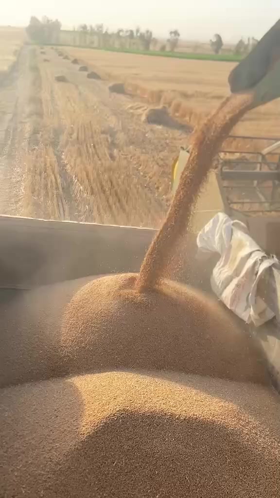 ئەم دەراسەیە بۆفرۆشتن بەشەرتە جامخانەیە تەبریتە رەقەمە سەنەویە مەچینەبەشەرت ناونیشان هەولێر ژ ***********
