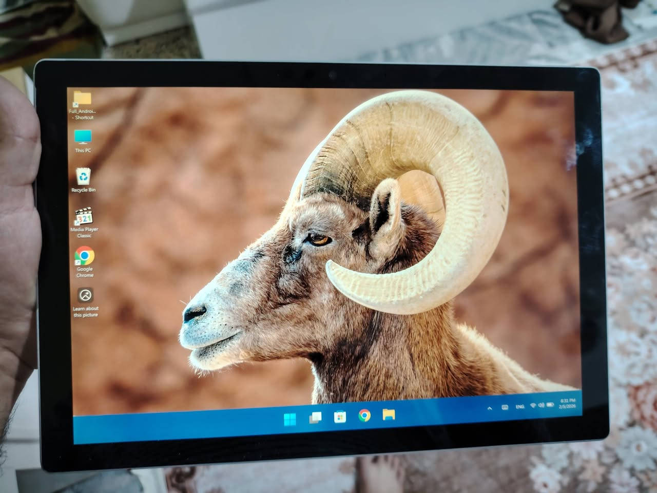 حاسبه
Microsoft surfae pro 7
مقاس الشاشه.                        12.3
 باقي موجوده بالصور
سعرهه ٦٠٠


**إذا كنت صاحب هذا الإعلان وتريد حذفه لأي سبب، رجاءا أرسل رسالة إلى الدعم الفني**