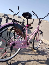 نضافة • فول زلوغ • حاوية بماشه