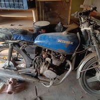 نامي • فحم • مجال