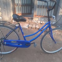 باسكال • موديل ١٩ • حجم ٢٦