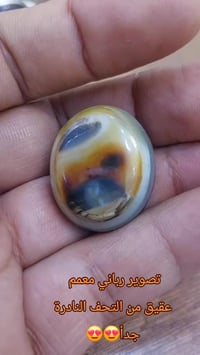 حجر داودي • صور واضحة • استفسار خاص