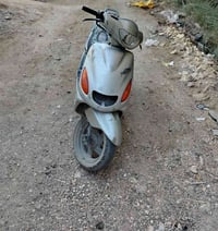 دولفين ستوني • مجفتهه • مراوس بمنغولي