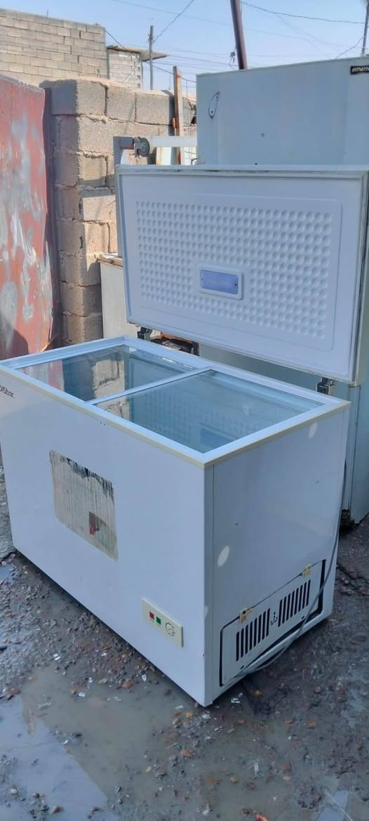 مجمدات شغالات فووول تجميد بيع شلعه ومفرد بسعر مناسب جدا 
العنوان بغداد المشتل مجمع فدك قرب المجلس البلدي رقم ابو علي للتواصل«***********»
