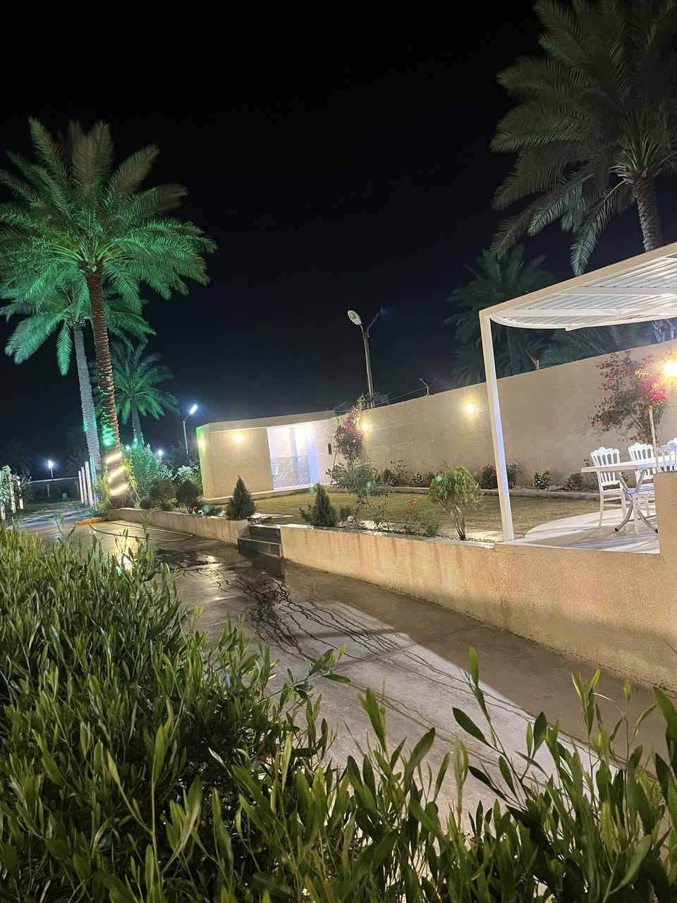 �✨ سفاري ✨🌿

مزرعة سفاري متوفرة للإيجار خلال أيام العيد 🎉
أجواء راقية وراحة واستجمام للعائلة والأصدقاء 🏡💚

✔️ مساحات خضراء واسعة
✔️ جلسات مريحة 
✔️ أجواء هادئة ومناسبة للعيد
✔️ متوفرة للحجز اليومي

للحجز والاستفسار مراسلتنا على الأرقام التالية  📩
العيد أحلى 

‭٠٧٧٨ ١٨٦ ٢٧٩٨‬

‭٠٧٨٠ ٣٤١ ٢٧٢٧‬
