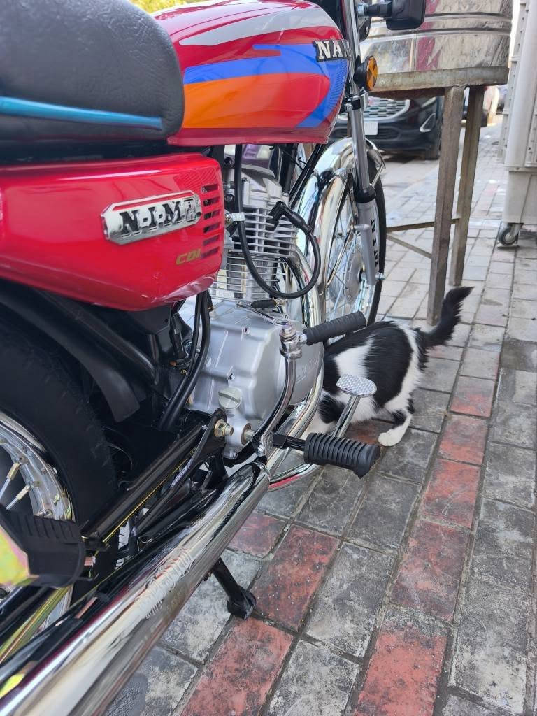 نامه ثلاث احرف مديل 27 
اوراق سكنر نضافه فول
قبل عشرة ايام ماخذه 
السعر 700الف قفل قفل
كربلاء *********** كربلاء, العراق
