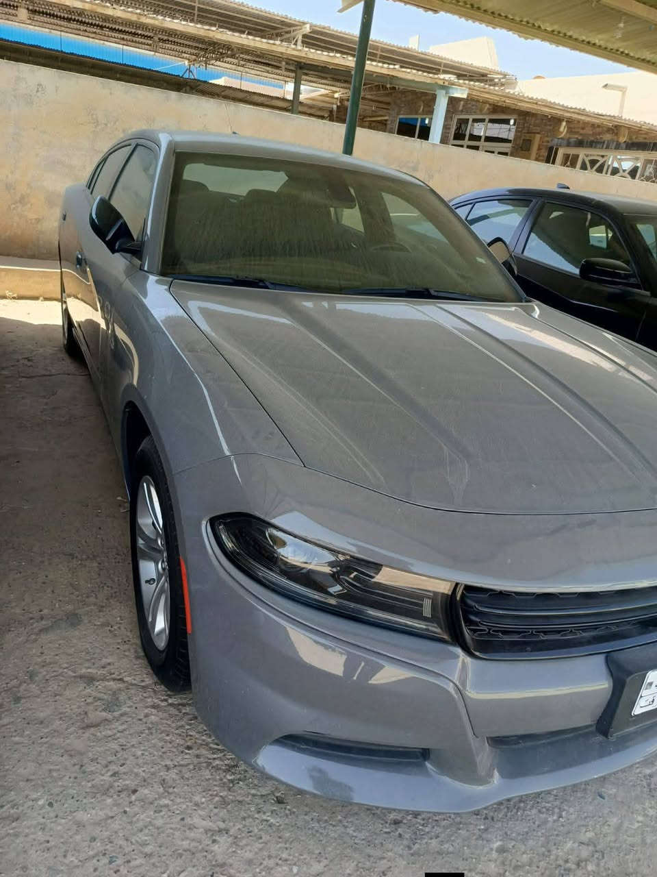 🔺دخول جديد دوج جارجر امريكي🔺
الموديل .2023🪬 اصل 

               (الاصدار الاخيرررر)

              اللون . سمنتي مميز 🩶

المسافة المقطوعة 45 mi فقط وظع الوكالة

حجم المحرك 3600

(كفاله السياره)

مواصفات السيارة ..

-كامرة خلفية دوارة HD

-لايتات زنون وكالة

-تشغيل عن بعد 

-كشنات حضن مع تحكم كهرباء

-حساس خلفي

- بلوجكترات زنون لد امامي 

-شاشة كبيره مع نضام GPS

-مري جانبية هيتر مع عاكس الضوء

-نضام USB- كامل 

-تبريد قطعتين

-بصمة ابواب 

( فحص باسمي اني المستورد بدون رقم تترقم جميع المحافظات)

مكان السيارة الديوانية 🫵

اي استفسار الاتصال. متوفر وتس اب 

📞‏‪‏‪***********‬‏
