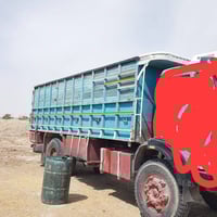 مطلوب • النجف • ما بي عيوب