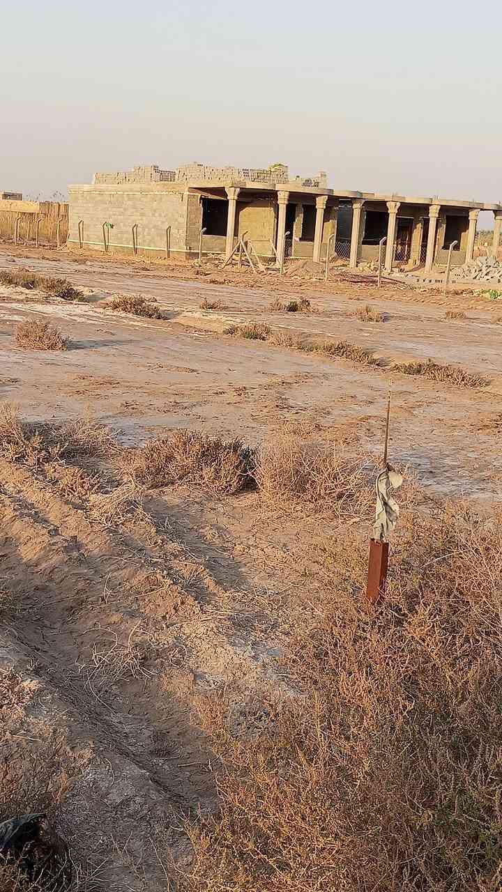 يالله السلام عليكم دونم له ربع البيع عقد 17 المكان كربلاء الحسنيه تبعد  عن الشارع العام 500 متر   كهرباء مي كله قريب عليهه مدرسه متوسطه وبتدائيه   السعر 38 وبيهه مجال  ***********  بي وتساب واني بل خدمه
