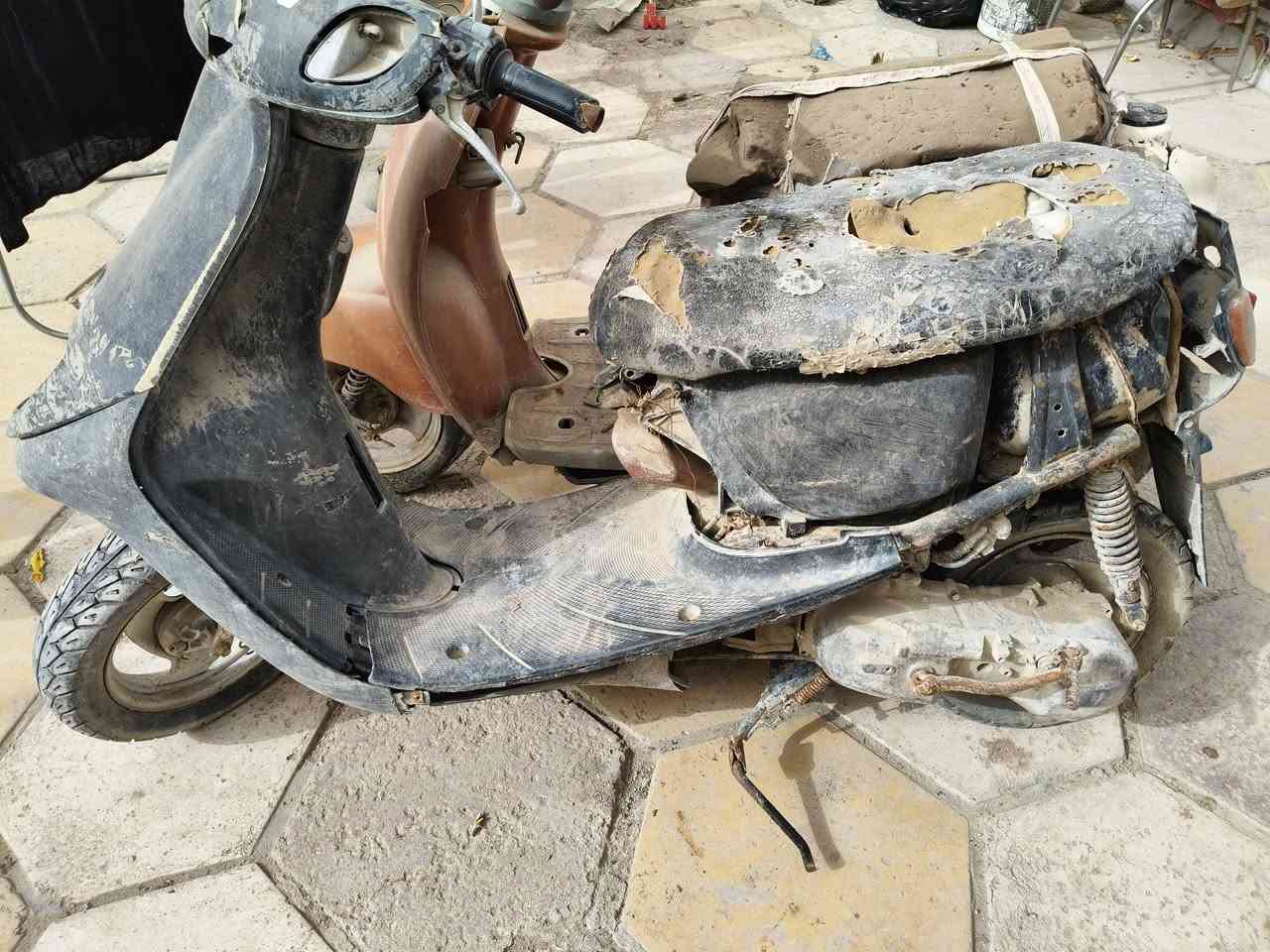 دراجتين للبيع منغولي نثيه ومصريه المنغولي عطلها شرك والمصريه ما بيها شي بس واكفه من زمان الي يريده يتواصل وياي سعر مناسب مكاني ناصريه مركز ***********
