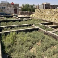خلف ملعب السنيه • ١٦٠م • زراعي