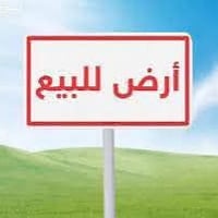عرصة • سند ٢٥ • ١٥٠م