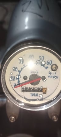 مصرية • فحل • كفاله