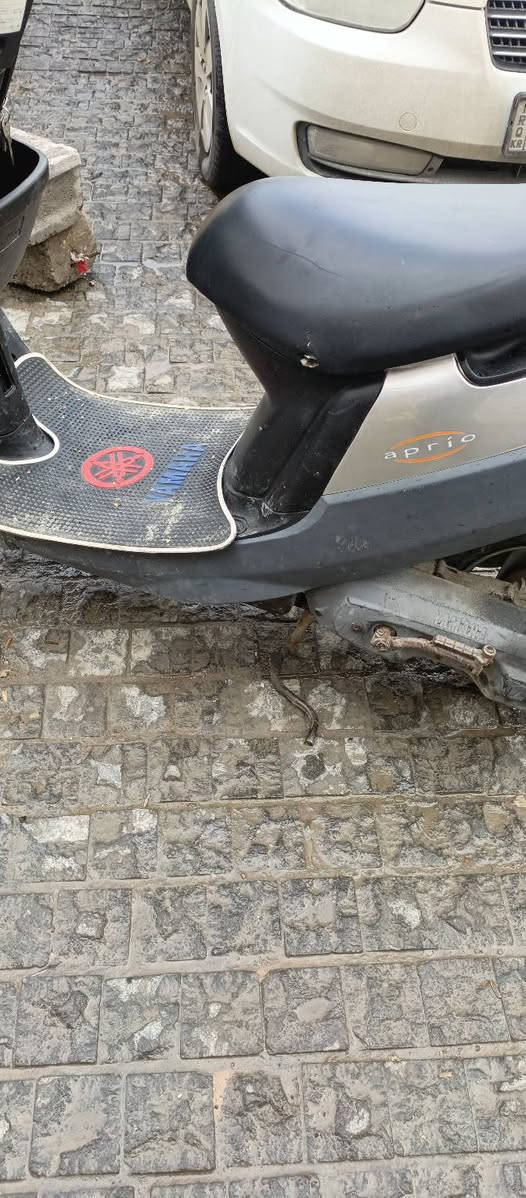 دراجه للبيع سعر 500 50 بها مجال مكالمه موصل ***********
