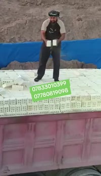 لأنك تستاهل جبنالك الأفضل طابوق جمهوري قليل الاملاح شرط المكلاب ✅💚✅💚✅💚...