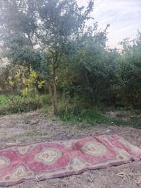 حي الصدرين • ٢٠٠م • ماء وكهرباء