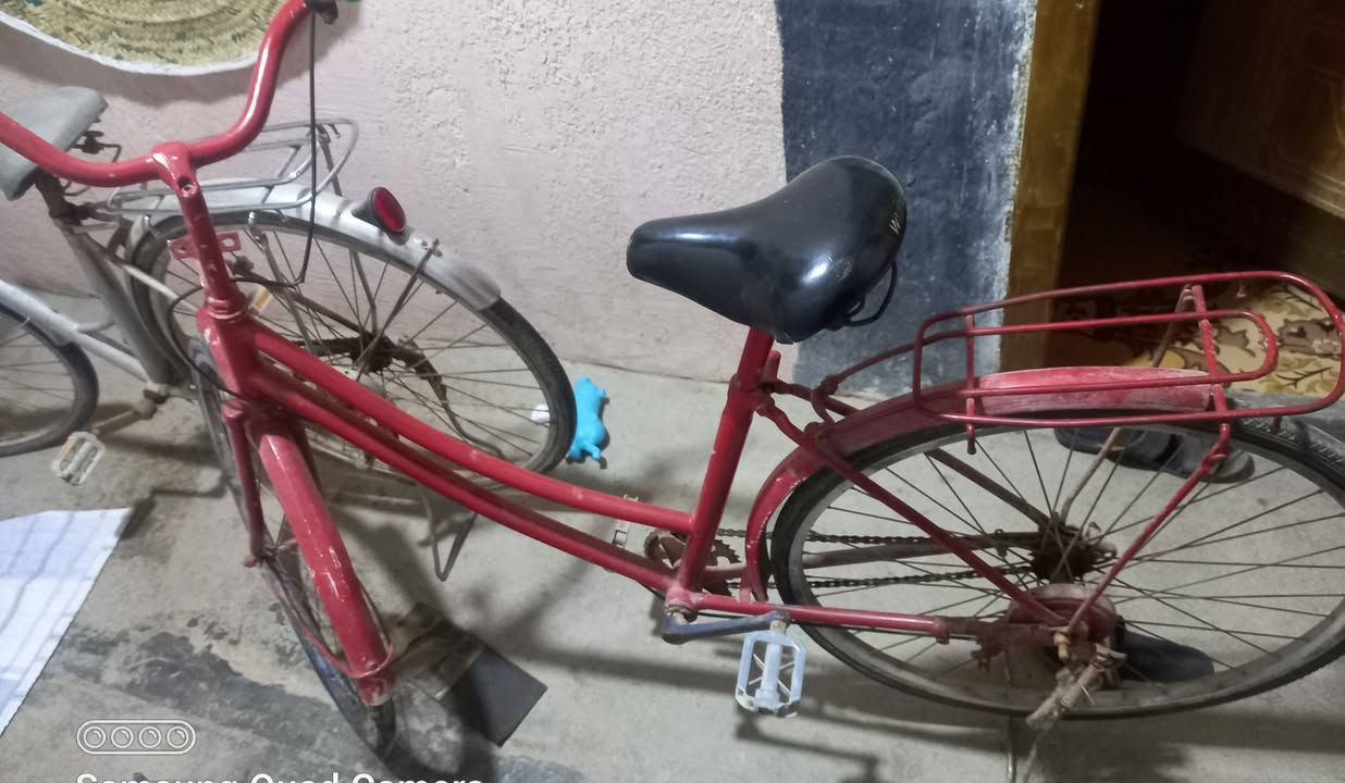 سلام عليكم بايسكلات سياحيه 2وسعرهن100وبيهن مجال العنوان البصره شط العرب الجزيره ***********
