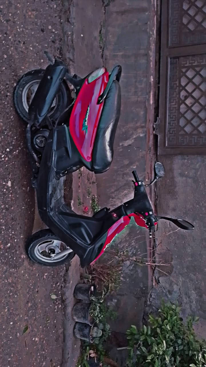 السلام عليكم
ماكس قچمه للبيع دراجه متعوب عليها وحلوة أحله من الصور 
شغاله سلف هندر 
عدسة امامي لونين عالي ناصي 
تايرات جدد جلاتين 
صالصنه fm رياضي قطرة رياضي 

منفذ شاحن التلفون usb 

تخم كفرات جدد لوك
 
مازدة اماميه جديدة 

عداد كيلوا مترر نقصه واير واشاير واكفه عندي 

السعر 400  عنوان بغداد حي الجهاد رقم *********** وبالخدمه
