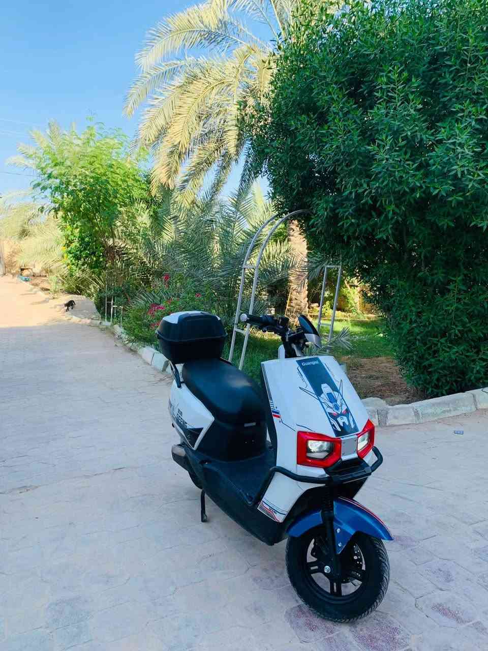 سكنس شحن للبيع مديل 2024 الدراجه بيها ملف وعقل فقط الدراجه كشرها نضيفه جداً سعرها 350 وبيها مجال للشراي مكاني السماوه للاستفسار خاص


**إذا كنت صاحب هذا الإعلان وتريد حذفه لأي سبب، رجاءا أرسل رسالة إلى الدعم الفني**