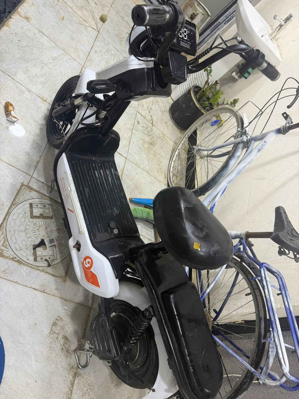 دراجة شحن للبيع مستخدمه شي بسيط


**إذا كنت صاحب هذا الإعلان وتريد حذفه لأي سبب، رجاءا أرسل رسالة إلى الدعم الفني**