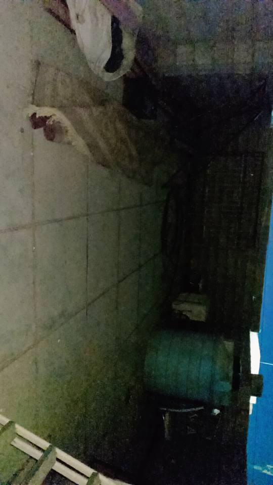 السلام عليكم
بيت للبيع المساحة ١٤٠  متر الطابق الأرضي يحتوي على غرفة نوم + استقبال+حمام داخلي+مطبخ + الطابق الثاني غرفتين متصلات بناء طابوق العنوان حي الحكيم نزلة عميد جادر يبعد عن الشارع العام ١٥٠ متر يمه 4مدارس ابتدائية ومتوسطة قرب البيت 100 متر بي معاملة بلبلديه السعر 42 وبي مجال اتصل *********** ملاحظة فقط الغرفتين الفوك بلوك والسقف سندويج
