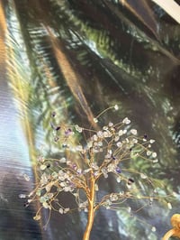 شجرة خرز • جمشت • ياقوت