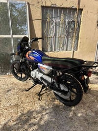 بوكسر • فحل • ٢٠٢٣