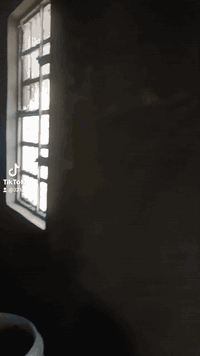 خلفه لبخ متفرغ ***********
