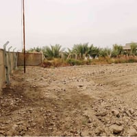 أرض طابو زراعي • ٢٥ دونم • خلف جامعة بابل