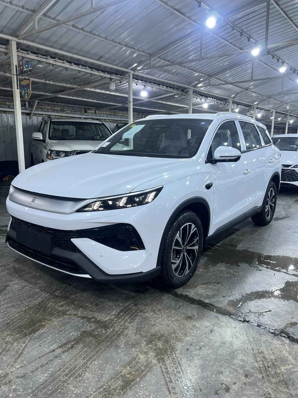 ‼️متوفر كافة فئات سيارات BYD زيرو‼️

✨بي واي دي ديستروير ( فتحة+بدون فتحة)
✨بي واي دي كين بلاس 
✨بي واي دي سيل 05
✨بي واي دي سونغ برو
✨بي واي دي سونغ L

⬅️((متوفر مرقم لوحة وسنوية + بدون رقم))➡️

العنوان: بغداد الكريعات شارع الوقف السني معرض الفرقان لتجارة السيارات

للتواصل والاستفسار عن الاسعار
اتصل على الرقم المثبت او الارقام ادناه
***********
***********
***********
