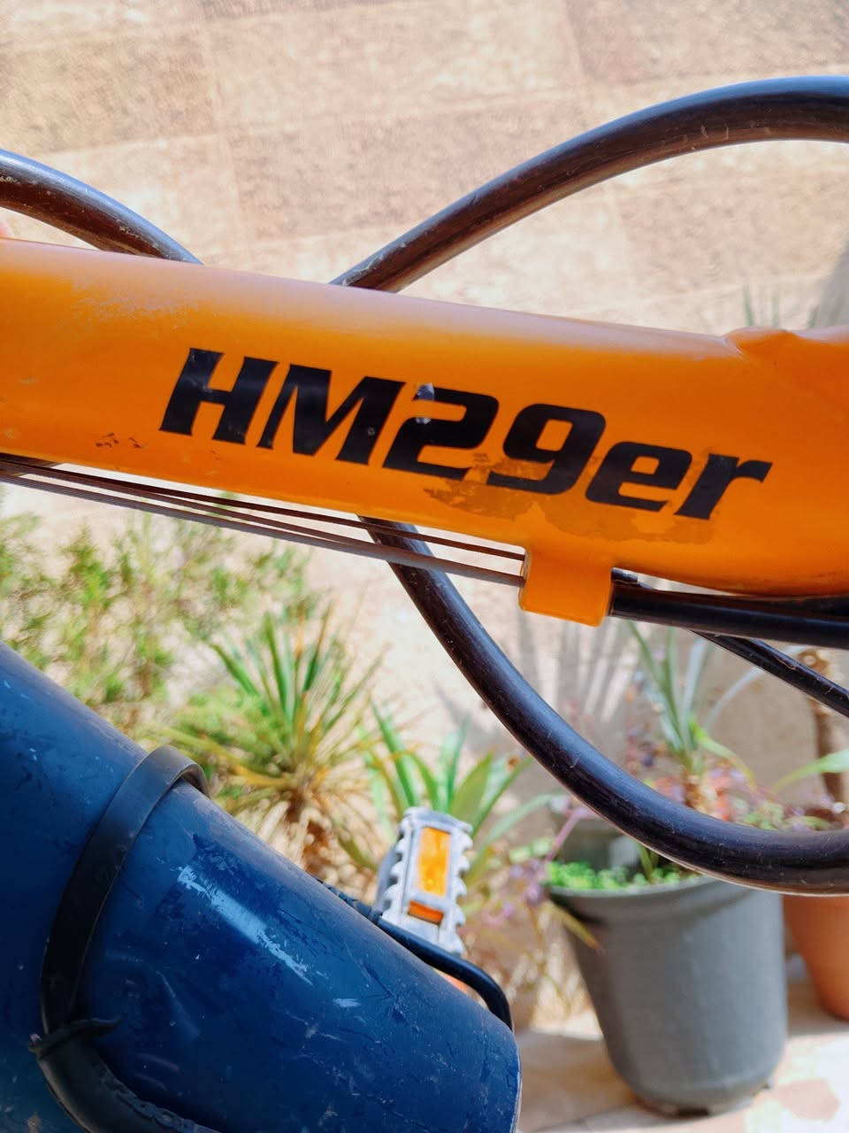 بايزكل همر للبيع🚲🔥
حجم 29🔥
كلو شغال ما بي اي نقوصات✅
البازكل جديد على ايدي✅
قيم سعرو اذا عجبني ابيعلك هوا✅
العنوان موصل حي العربي✅


**إذا كنت صاحب هذا الإعلان وتريد حذفه لأي سبب، رجاءا أرسل رسالة إلى الدعم الفني**