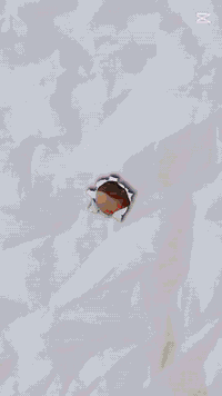 روضة فيض البتول • تعليم ترفيه • طويريج أبو جوعانه