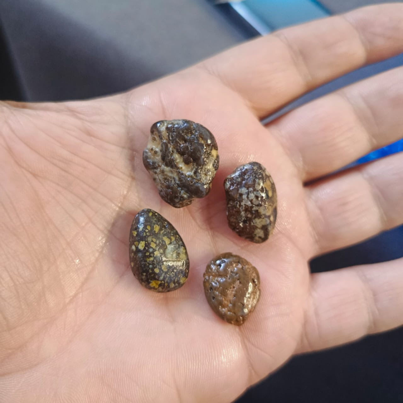 السلام علكيم / احجار ملاكط النباعي ذمه
فصوص يرهمن محابس 

يوجد توصيل لجميع المحافضات

***********واتس
